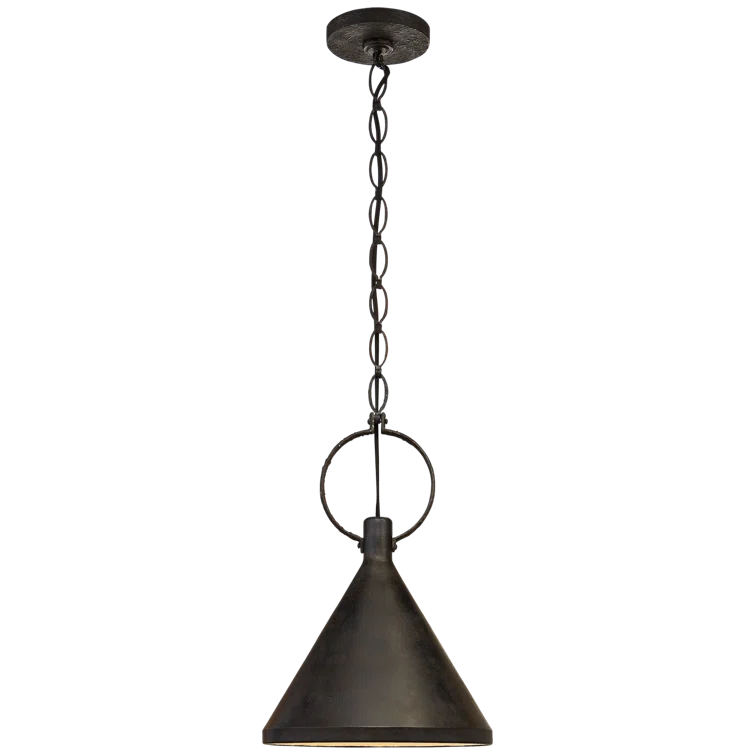 Aged Iron 20.5" Glass Indoor/Outdoor Pendant Light