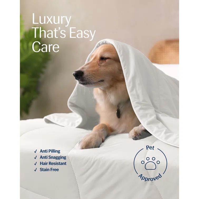 REST REST Evercool Award-Winning Cooling Comforter – Ultra Soft, Breathable, Lightweight, Hypoallergenic, All-Season Comforter for Hot Sleepers, Machine Washable