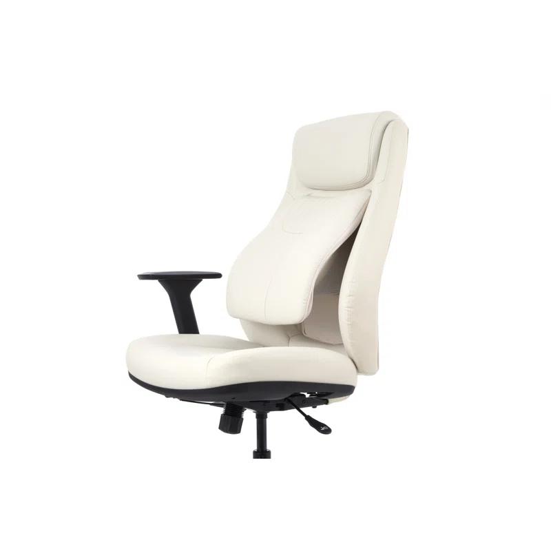 Wellnewlife Wellnew Posturelift Ergonomic Office Chair