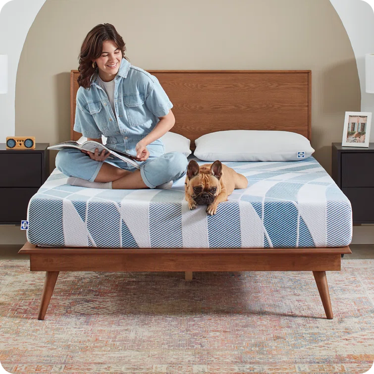 Sealy Dreamlife 8” Medium-Firm Foam Mattress-in-a-Box