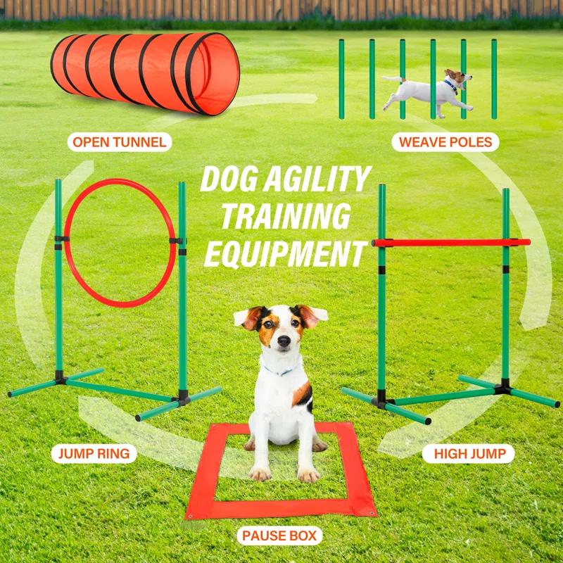 TGU Dog Agility Training Set