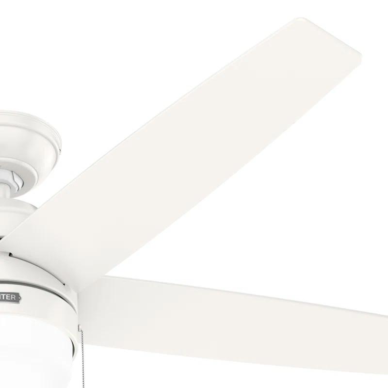 Hunter Fan Bardot 52" 5 - Blade Ceiling Fan With Lights and Pull Chains