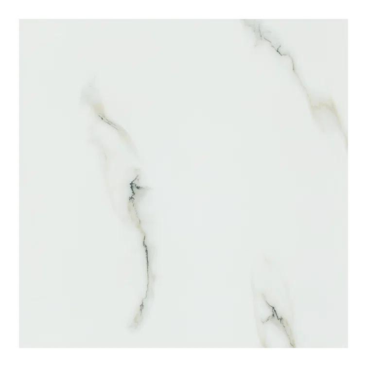 Ackland Azira 24 in. x 24 in. Stone Look Polished Porcelain Floor and Wall Tile