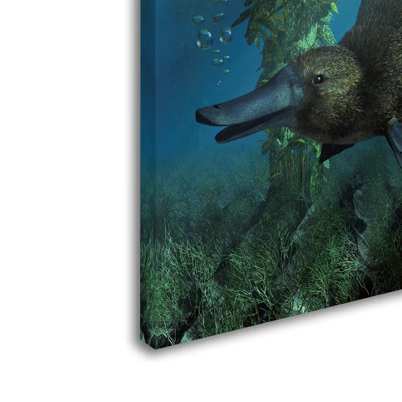 Trademark Fine Art Daniel Eskridge " Platypus " by Daniel Eskridge