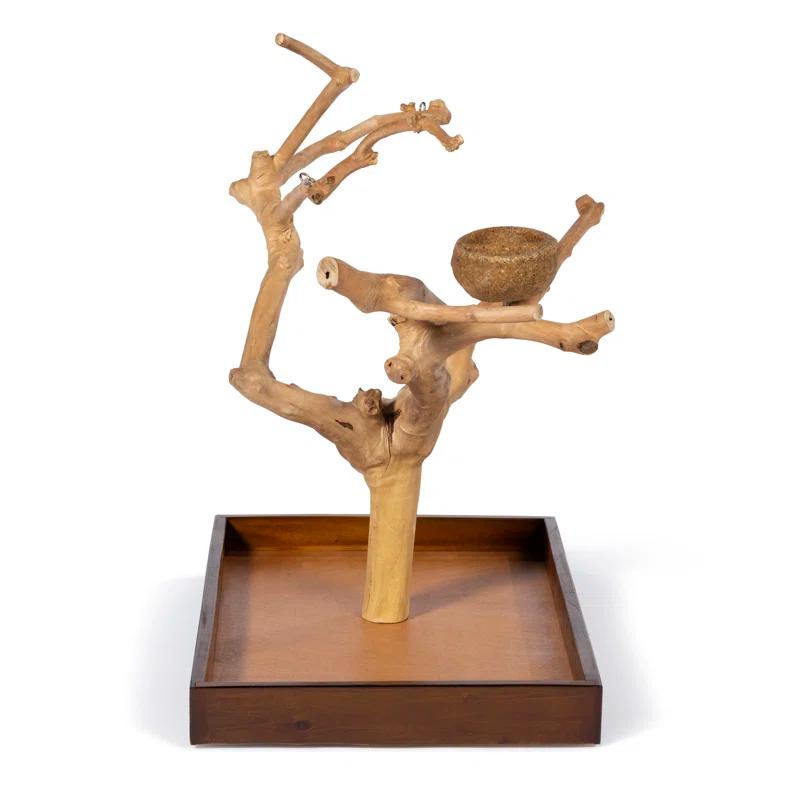 Tucker Murphy Pet™ Freeport One-of-a-Kind 22.5'' Wood Bird Play Stand for Table Top