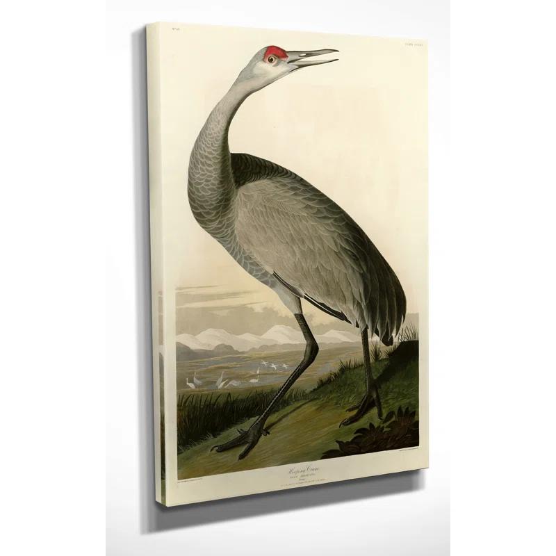 Vault W Artwork " Whooping Crane " by John Audubon