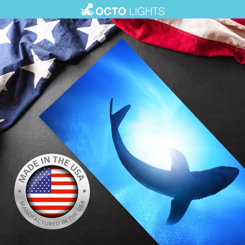 Octo Lights OCE-007-MGT-2x4 Ocean - Magnetic Fluorescent Light Cover for Ceiling Lights Classroom -  2x4 - by Octo Lights