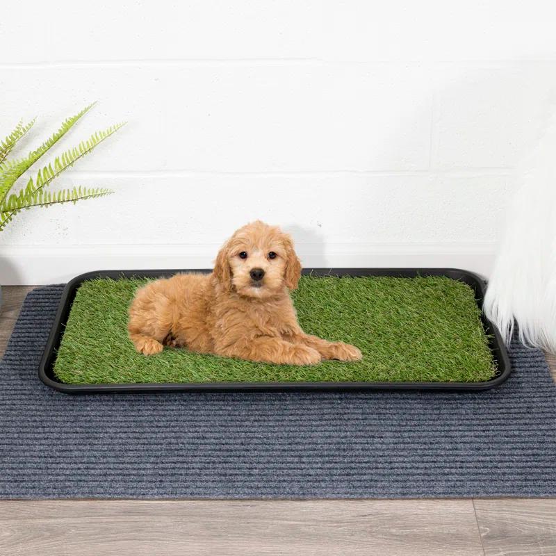 Ottomanson Pet Training Non-Slip Indoor/Outdoor Tray with Reusable Grass Pad