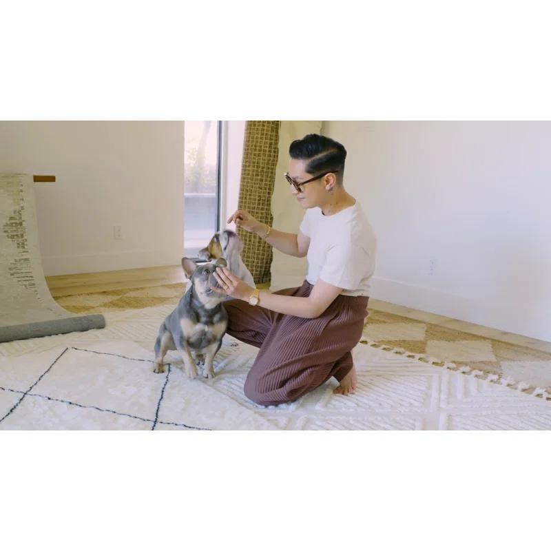 Latitude Run® Rune Bordered Wool-Blend Area Rug