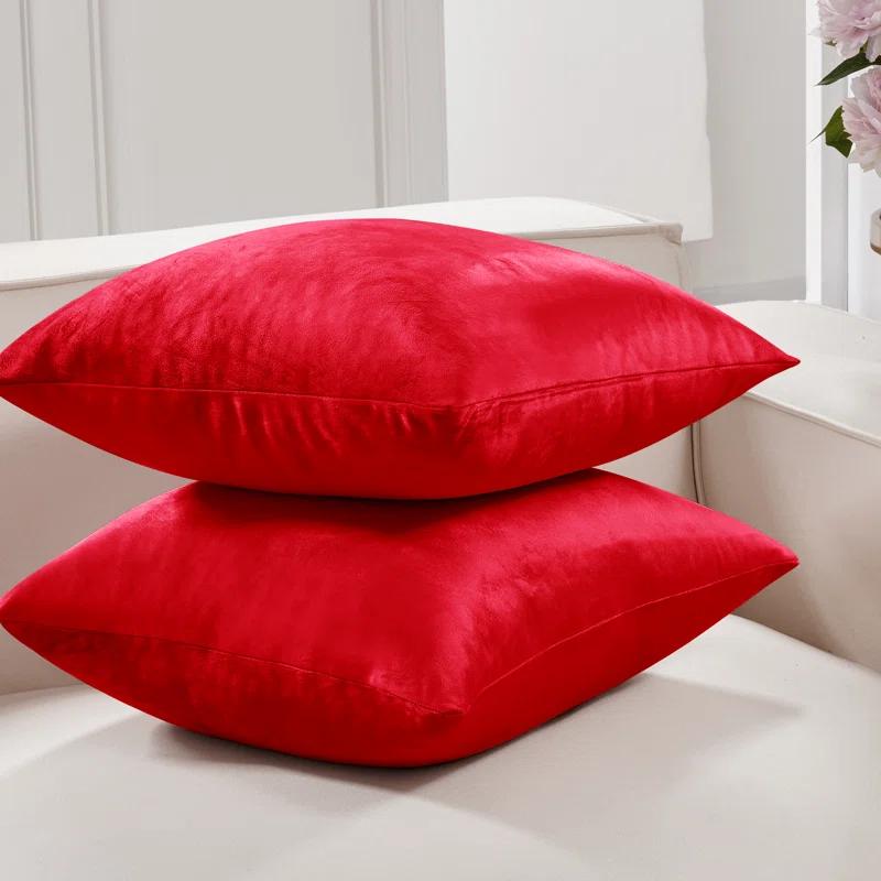 Deconovo Square Velvet Pillow Cover & Reviews | Wayfair