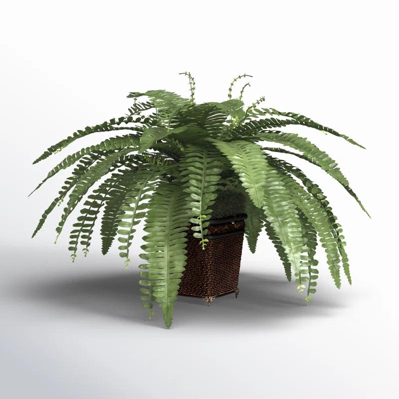 Birch Lane™ 23'' Faux Fern Plant in Wicker/Rattan Pot