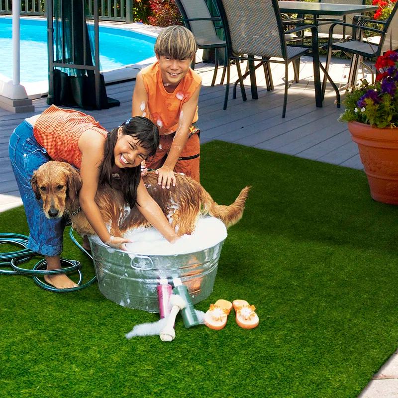 Joy Carpets Joy Carpets Greenspace Indoor/Outdoor Area Rug