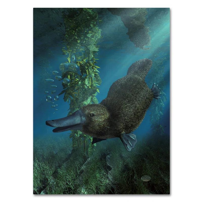 Trademark Fine Art Daniel Eskridge " Platypus " by Daniel Eskridge