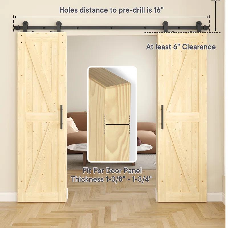 Lazio Steel Double Door Barn Door Hardware Kit