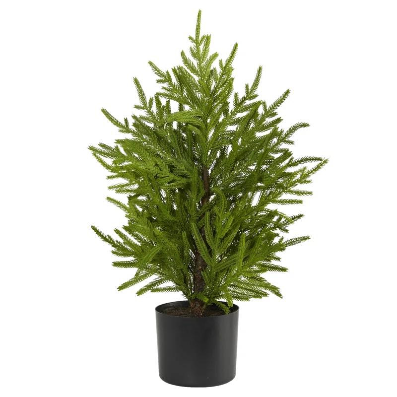 Primrue 2ft. Norfolk Island Pine Look Artificial Tree in Decorative Planter