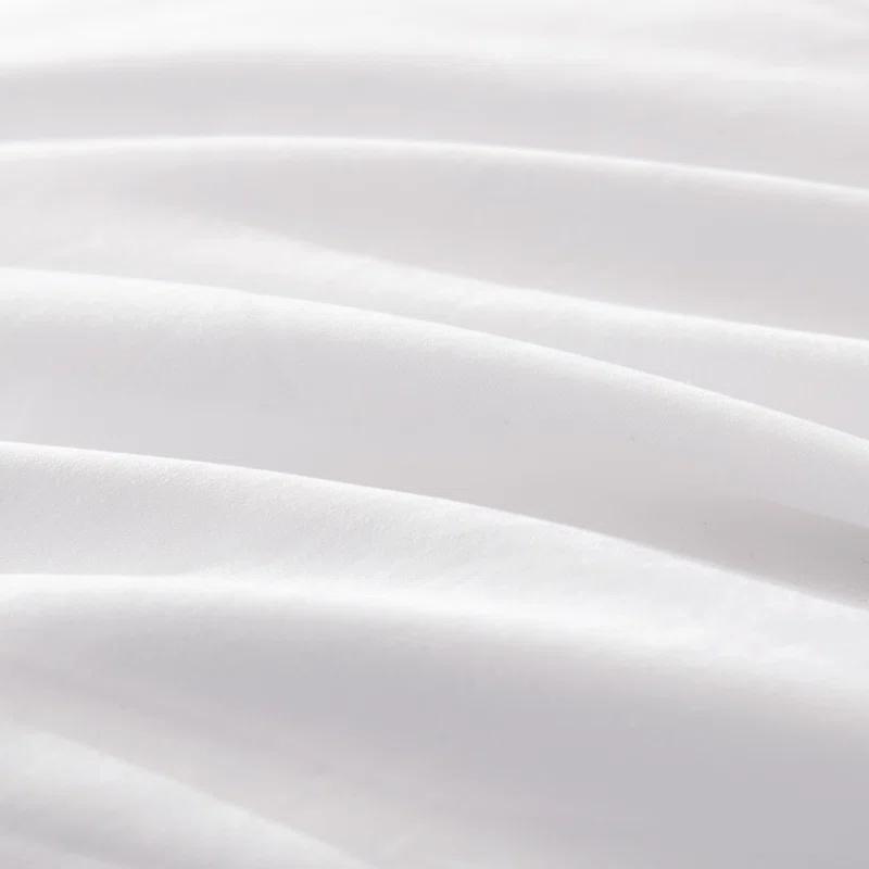 Alwyn Home 600in³/oz Fill Power Winter Goose Down Comforter