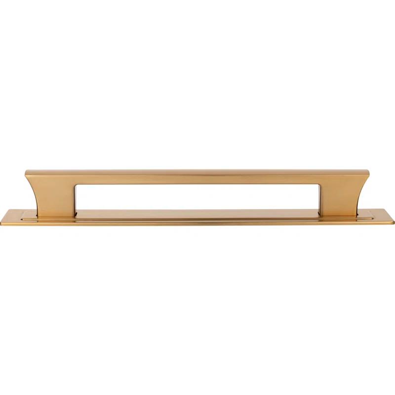 Atlas Homewares Zander 12" Center To Center Appliance Pull