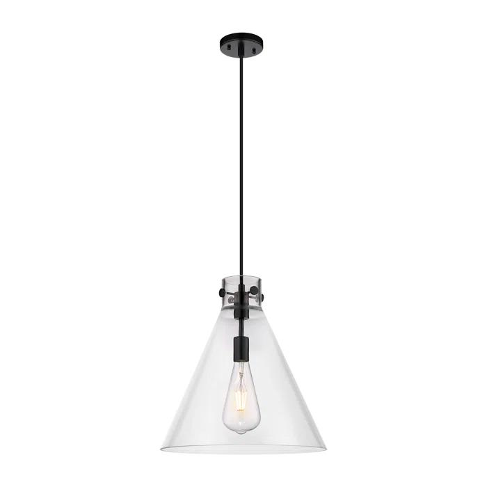 Innovations Lighting Newton 1 - Light Single Drop Pendant Pendant