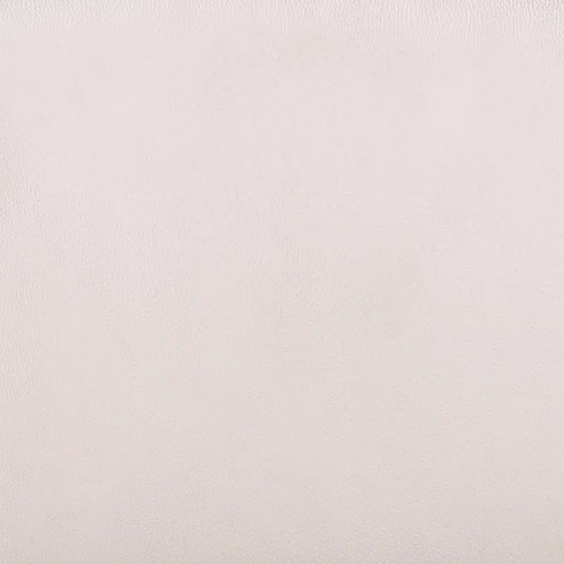 Contemporary Double-layered Curved Back Side Chair