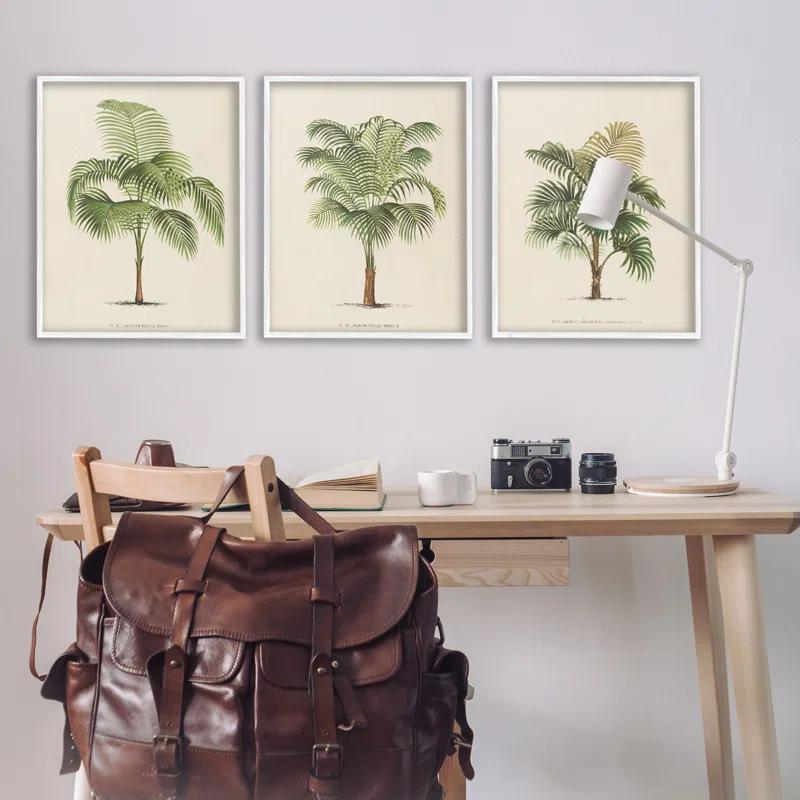 Stupell Industries Les Palmiers Botanical Trio 3 Piece Giclee Art Set by World Art Group