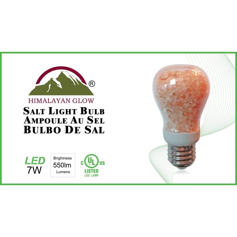 WBM LLC 1651B-4PK-01 Himalayan Glow 40 Watt Equivalent E26/Medium (Standard) Light Bulb (Set of 4)