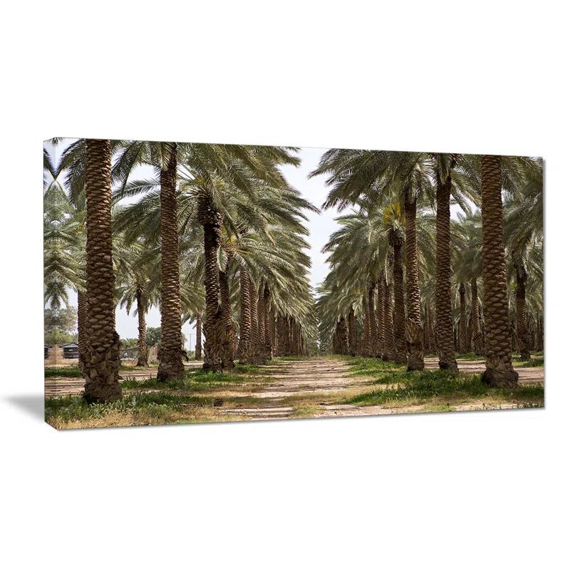 Design Art " Date Palm Plantation Photography "