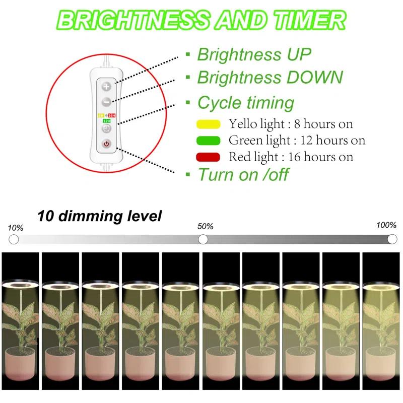 UNIVERSAL WINDOW SOLUTIONS Plant Grow Light, LED Growing Light Full Spectrum For Indoor Plants,Height Adjustable, Automatic Timer, 5V Low Safe Voltage,Idea For Small Plant Light