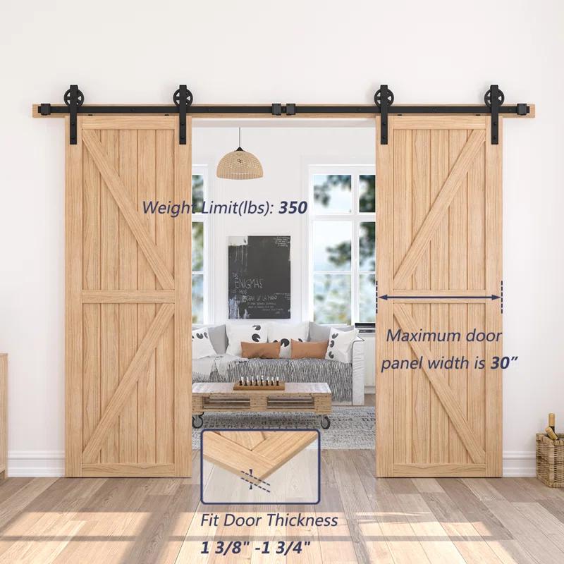 HomLux Standard Double Barn Door Hardware Kit