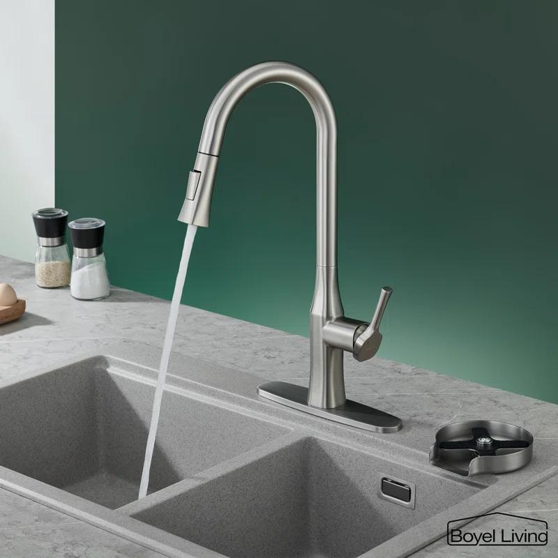 Boyel Living Pull Down Kitchen Faucet