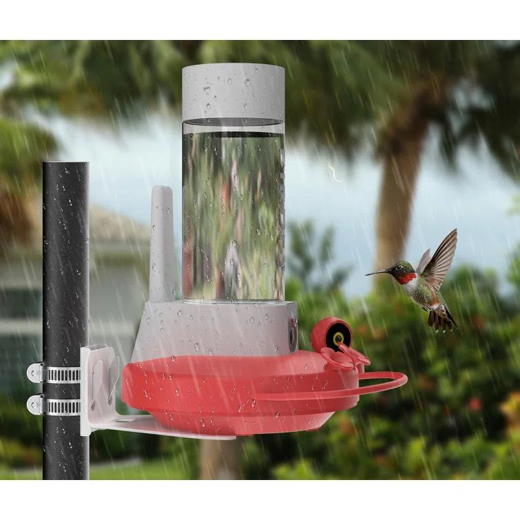 Birdfy NETVUE Birdfy Hummingbird Feeder with 2 Cameras Solar Powered - Dual Smart Cams, 2K HD Wireless for 2 Angels Close-up Bird Watching Outdoor, Instant Notifications (20Oz) (Hum Duo AI Solar)