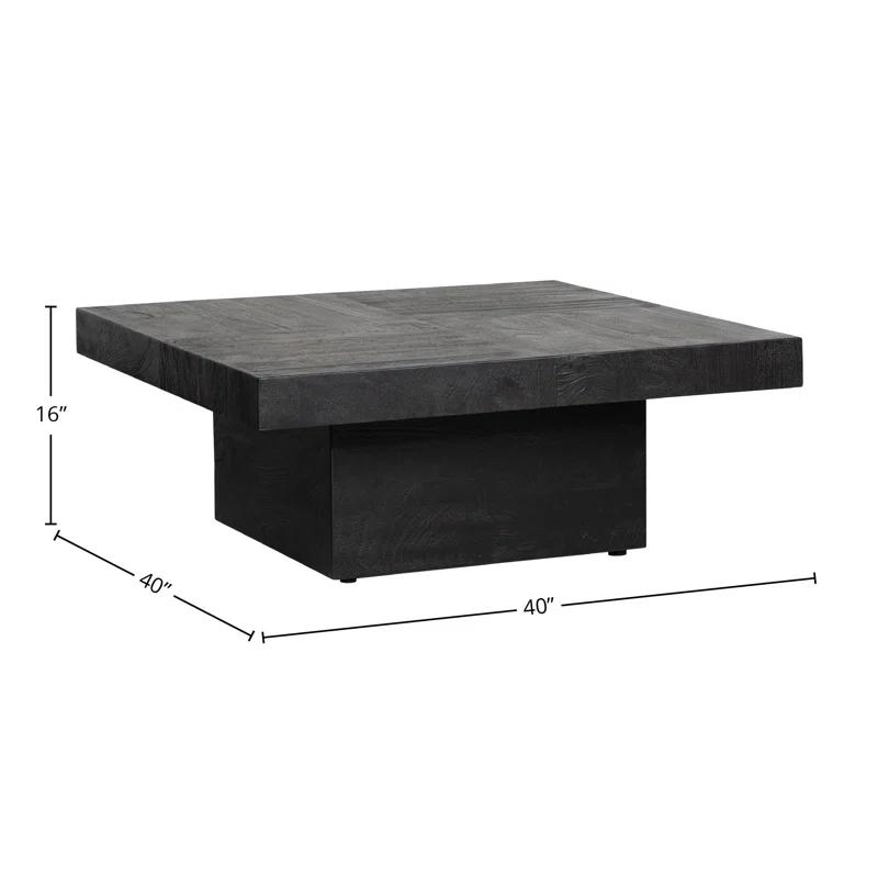 Dovetail Furniture Sereno 40" Wide Mango Wood Coffee Table, Black