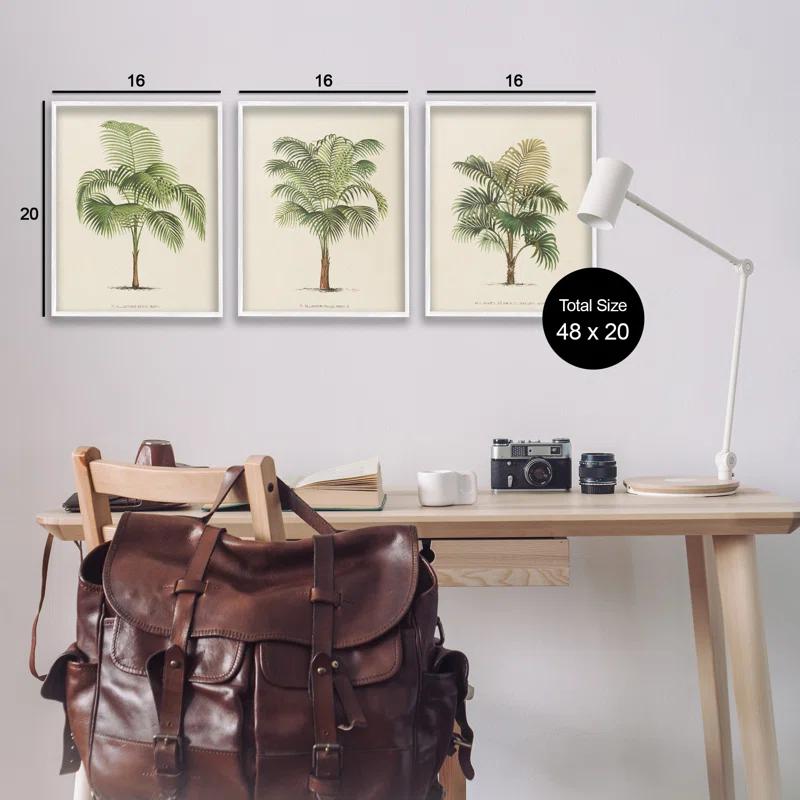 Stupell Industries Les Palmiers Botanical Trio 3 Piece Giclee Art Set by World Art Group