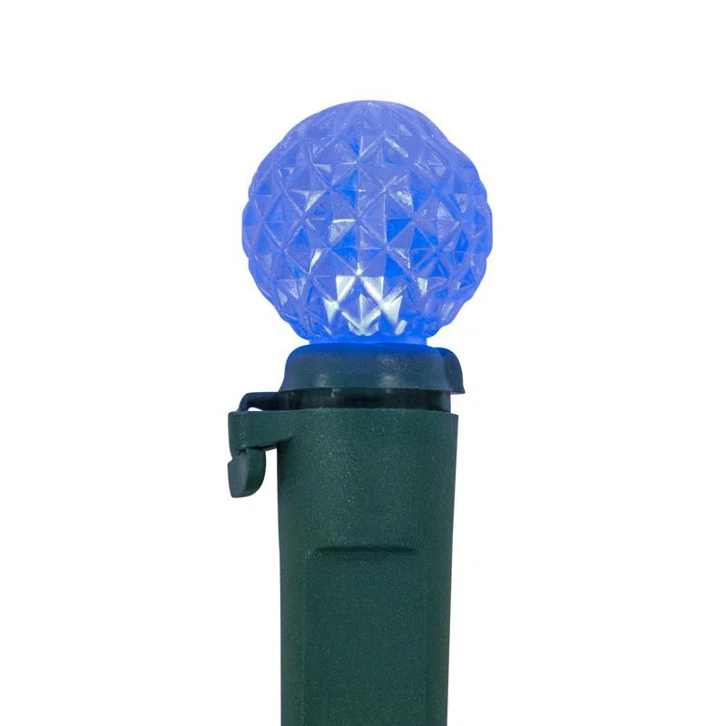 Northlight Seasonal LED G12 Berry Christmas Lights - 16' Green Wire - 50 Ct