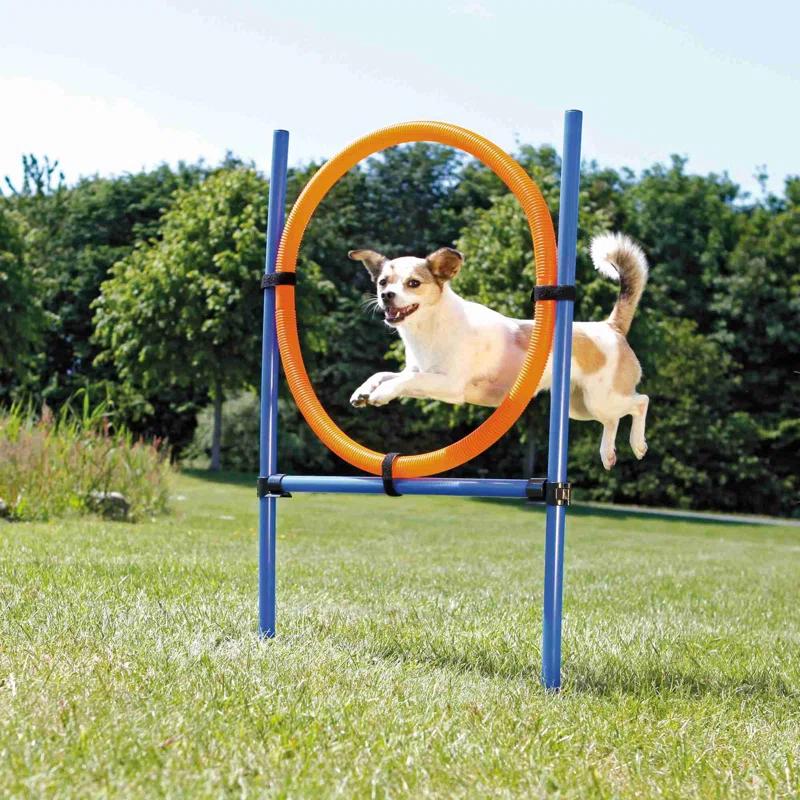 TRIXIE Dog Agility Ring, Portable Dog Hoop, Obstacle Course Equipment
