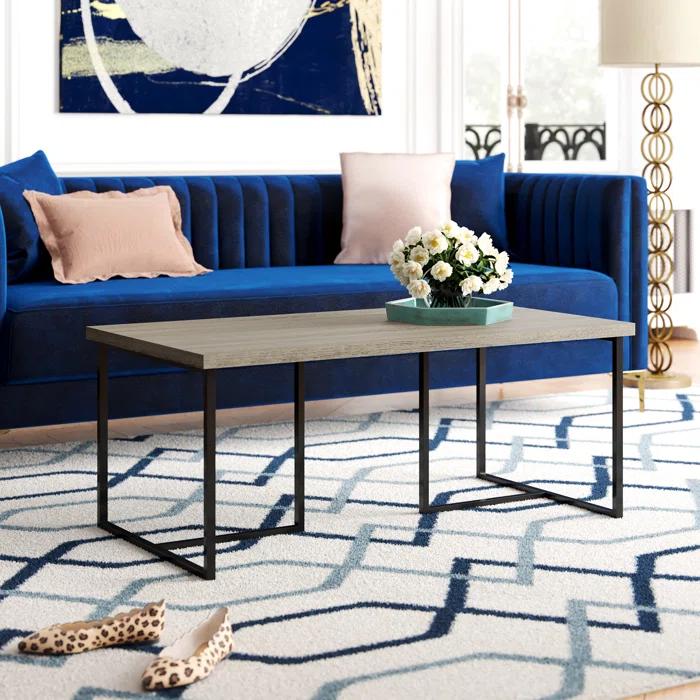 Willa Arlo™ Interiors Metz Coffee Table