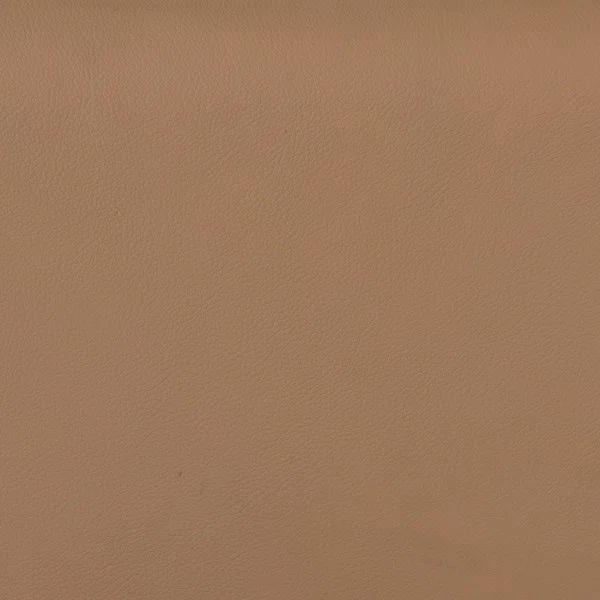 Ayvn Bar And Counter Stool - Counter