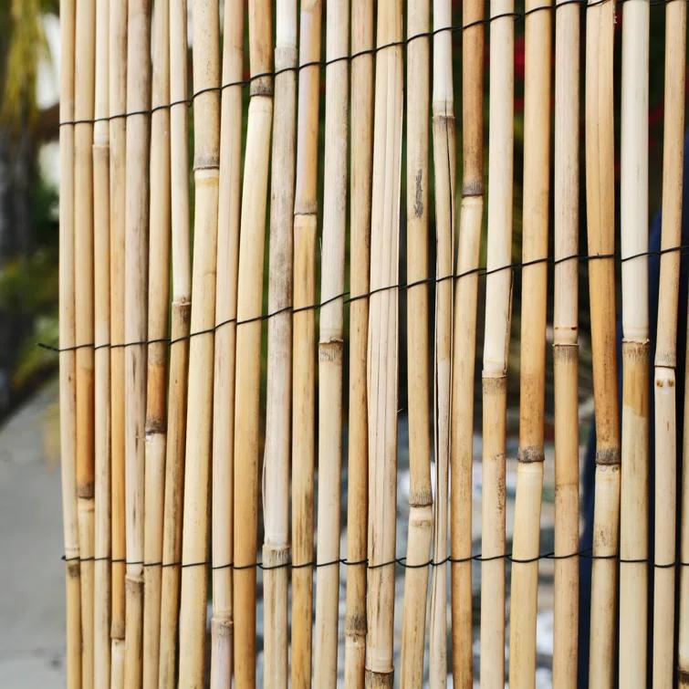 Backyard X-Scapes 6 ft. H x 16 ft. W Natural Jumbo Reed Fence Decorative Garden Fencing Divider