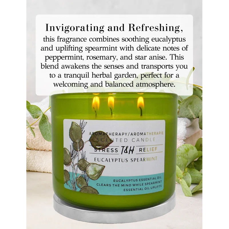 T&H Wholesalers Eucalyptus Spearmint Scented Soy Candle 3 Wick Aromatherapy Candle for Women and Men