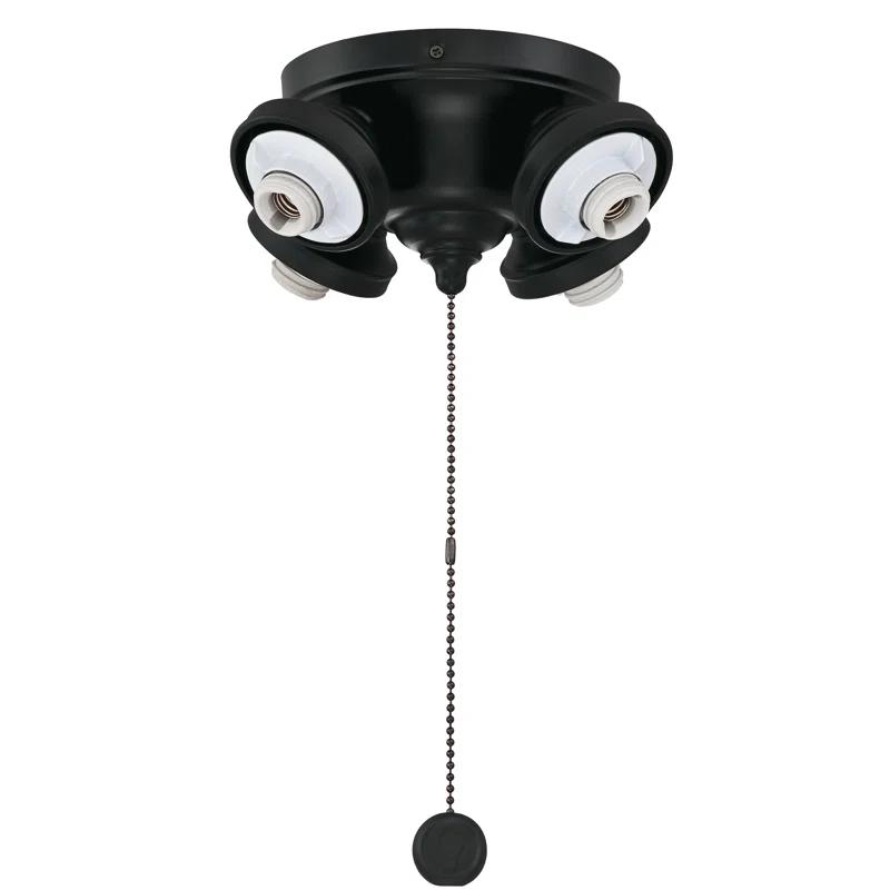 Fanimation Palisade 4-Light LED Ceiling Fan Light Fitter