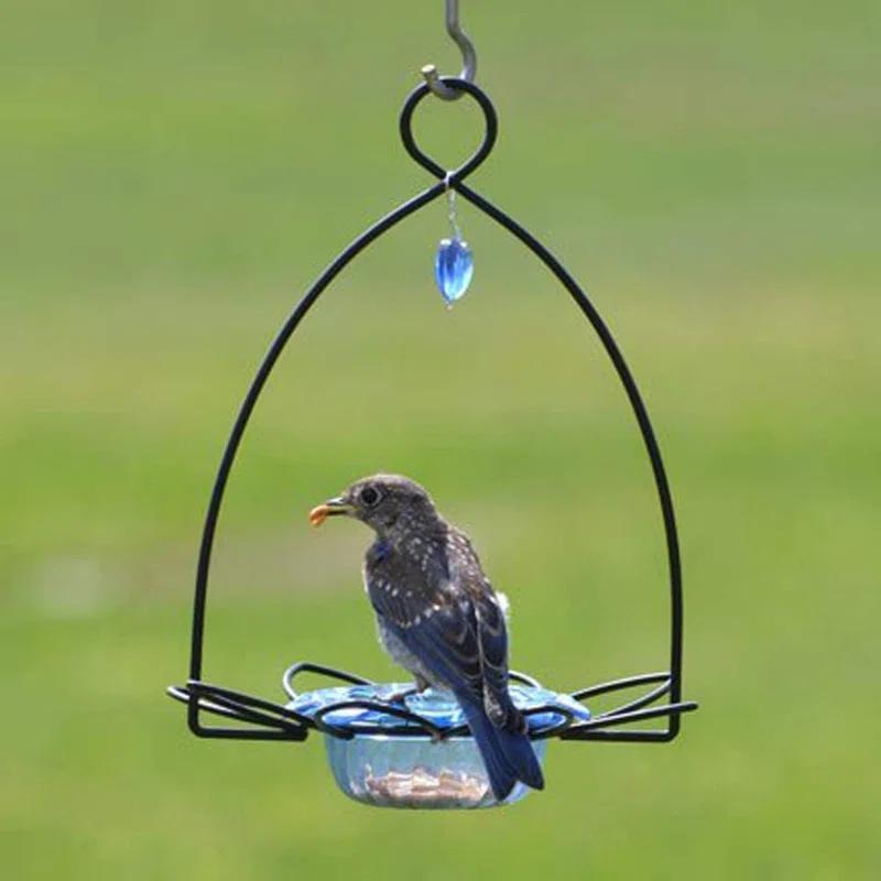 Birds Choice Birds Choice 3 oz. Bluebird Flower Cup Feeder for Dried Fruit or Mealworms, Blue