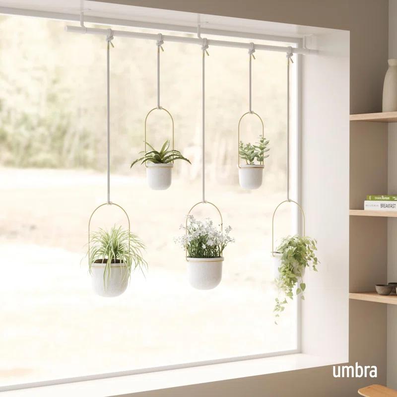 Umbra Hanging Planter