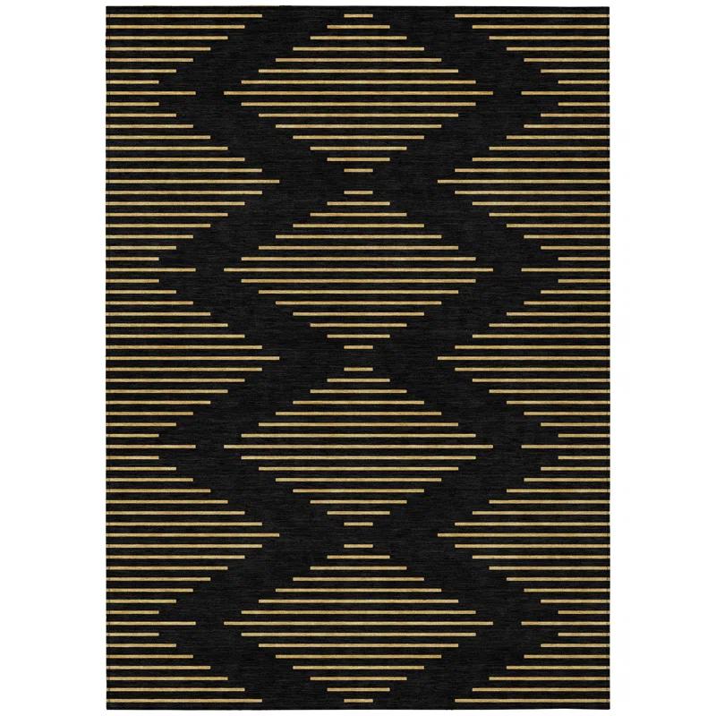 Machine Washable Indoor/Outdoor Chayden ACN1017 Black Rug
