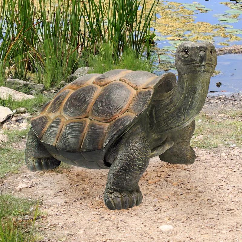 Design Toscano The Cagey Tortoise Statue