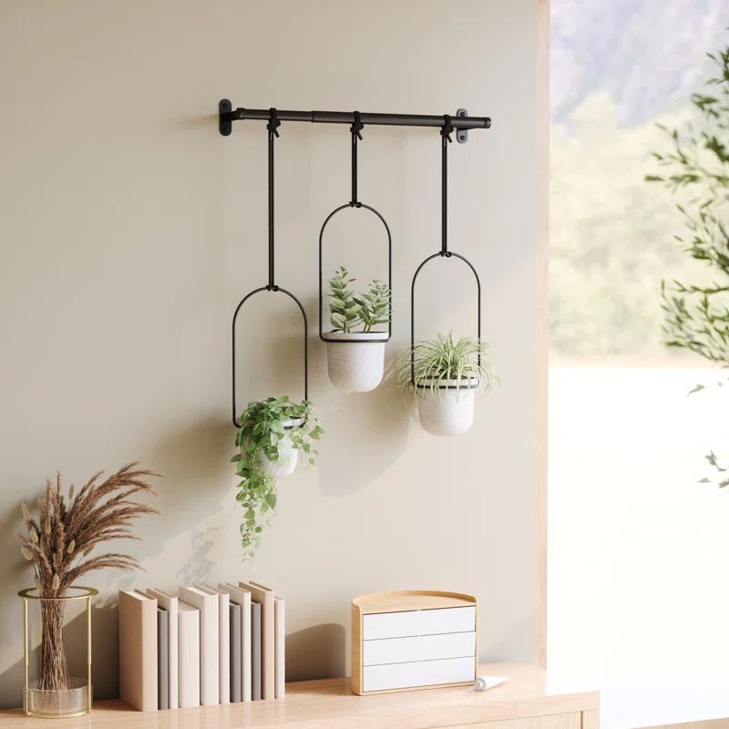 Tri-Flora Hanging Planter