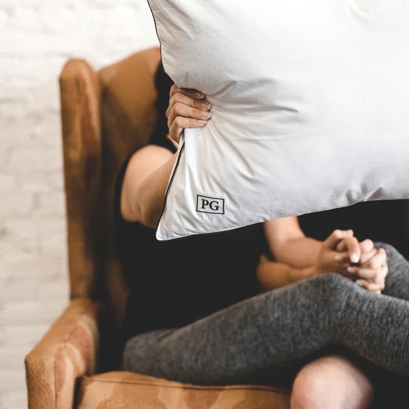 Plush Pillow (Set of 2)
