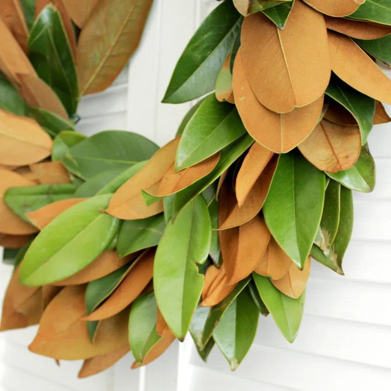 Fresh Magnolia Wreath