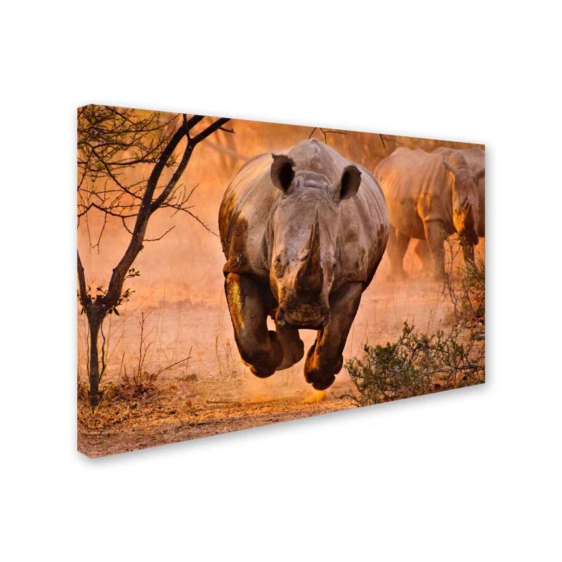 Trademark Fine Art " Rhino Learning To Fly " by Justus Vermaak