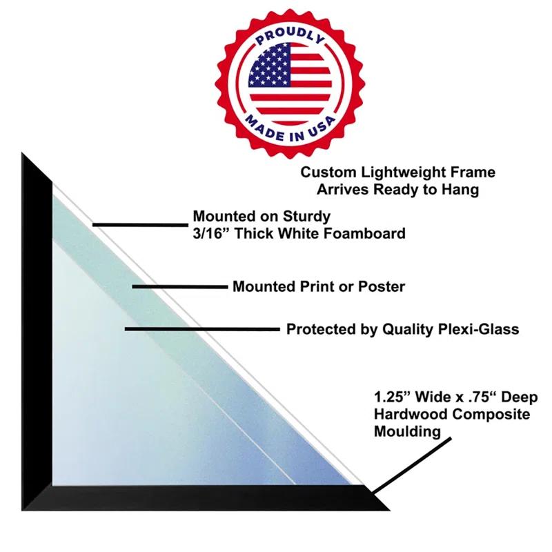 Buy Art For Less " Princess Leia - Rebel "