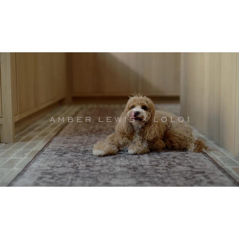 Amber Lewis x Loloi Machine Washable Josie Dove / Gold Area Rug