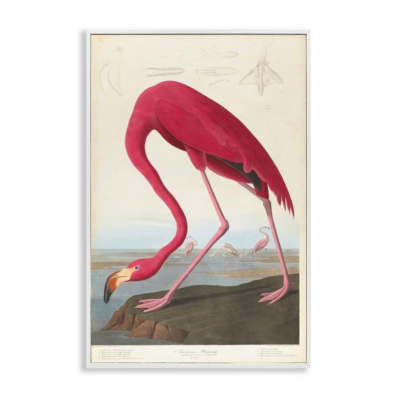 Stupell Industries Classic American Flamingo Framed Giclee Art by one1000paintings